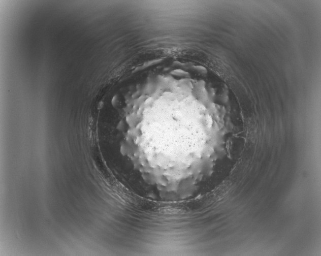 X0000070210650200606091625