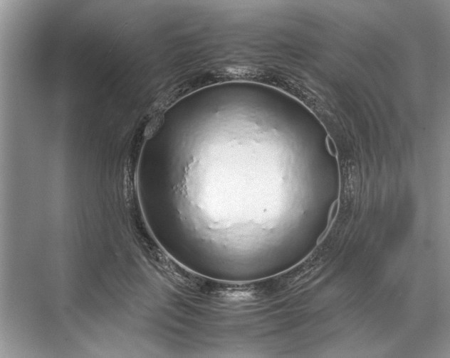 X0000070210651200606091625