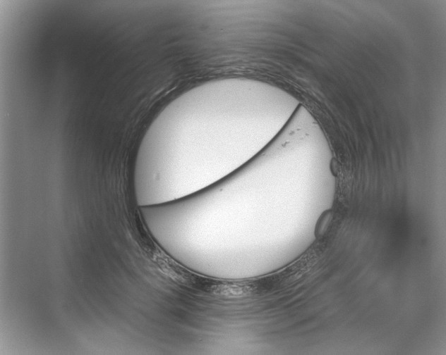 X0000070210652200606091625