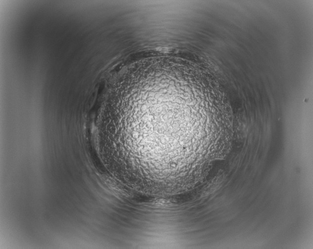 X0000070210656200606091626