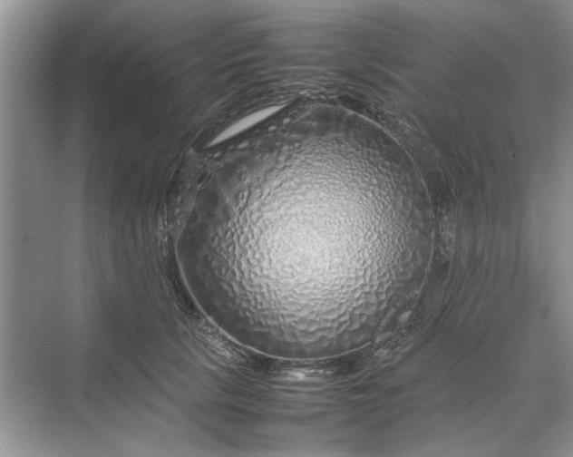 X0000070210657200606091626