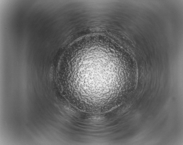 X0000070210659200606091626