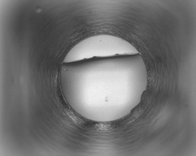 X0000070210660200606091626