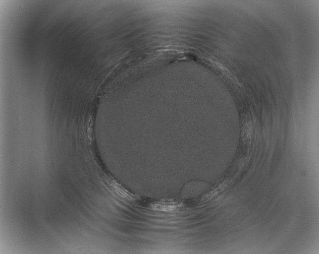 X0000070210661200606091626