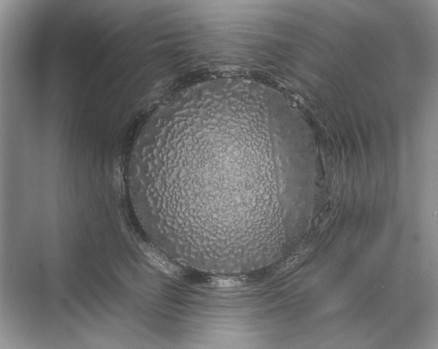 X0000070210662200606091626