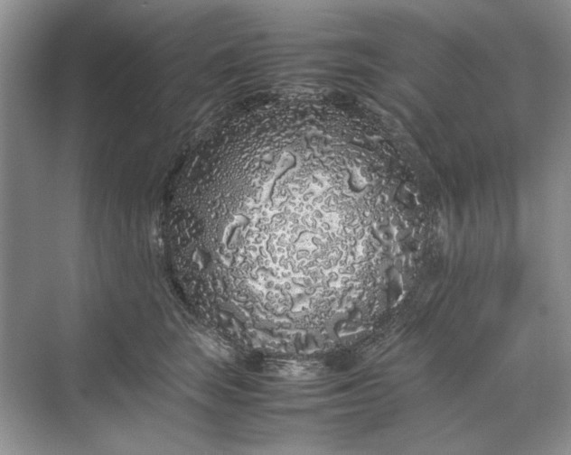 X0000070210663200606091626