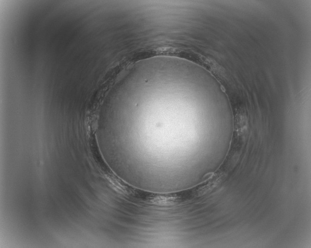 X0000070210664200606091626