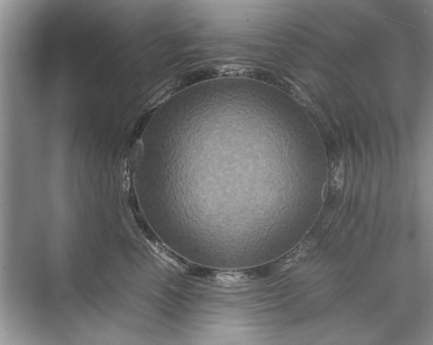 X0000070210666200606091626