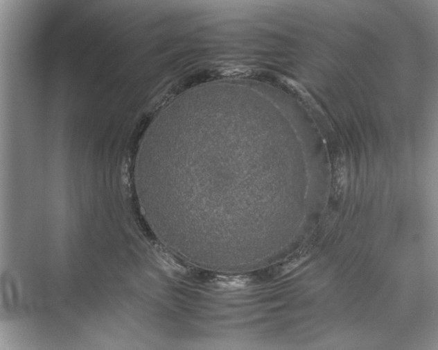 X0000070210667200606091626