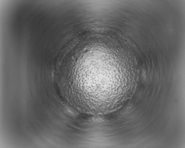 X0000070210668200606091626