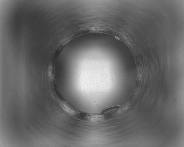 X0000070210670200606091626