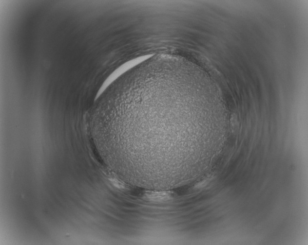 X0000070210671200606091626