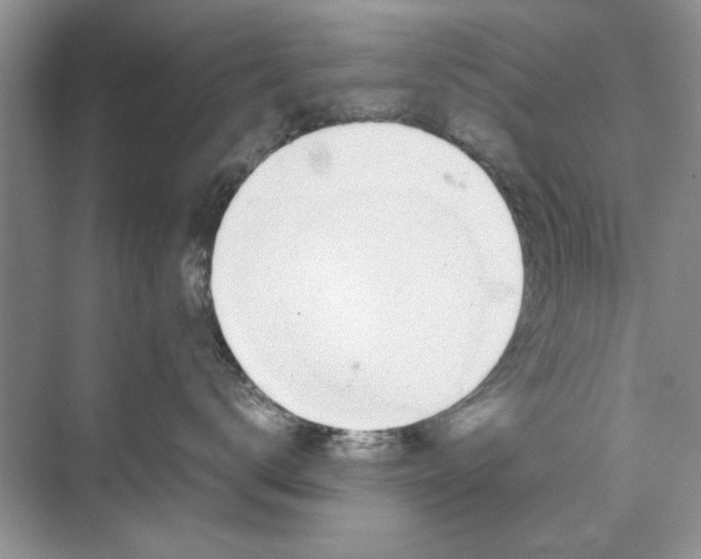 X0000070210672200606091626