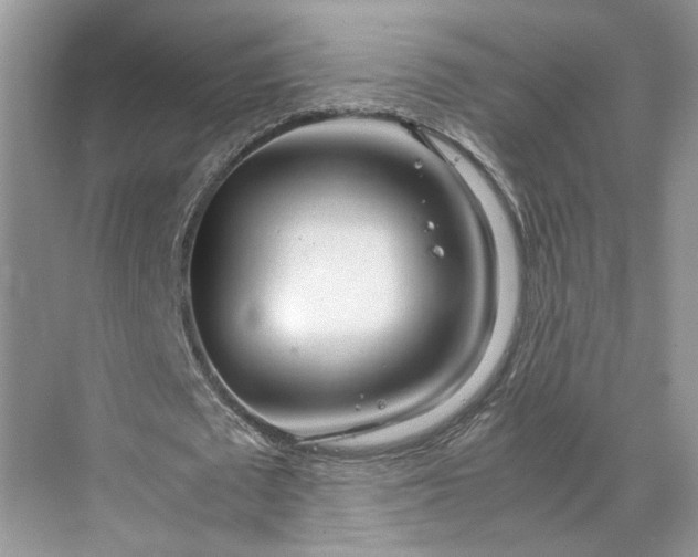 X0000070210673200606091625