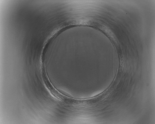 X0000070210674200606091625