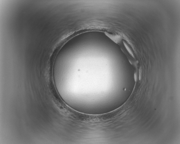 X0000070210675200606091625