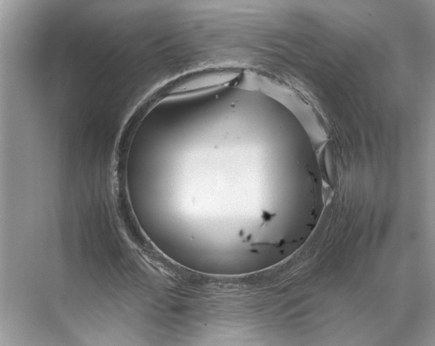 X0000070210676200606091625