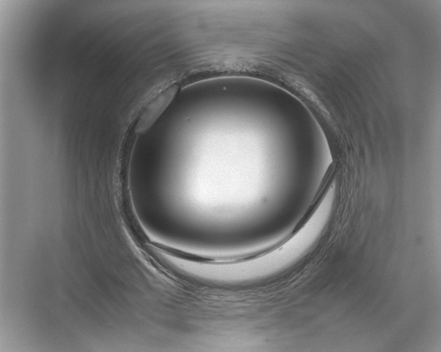 X0000070210677200606091625