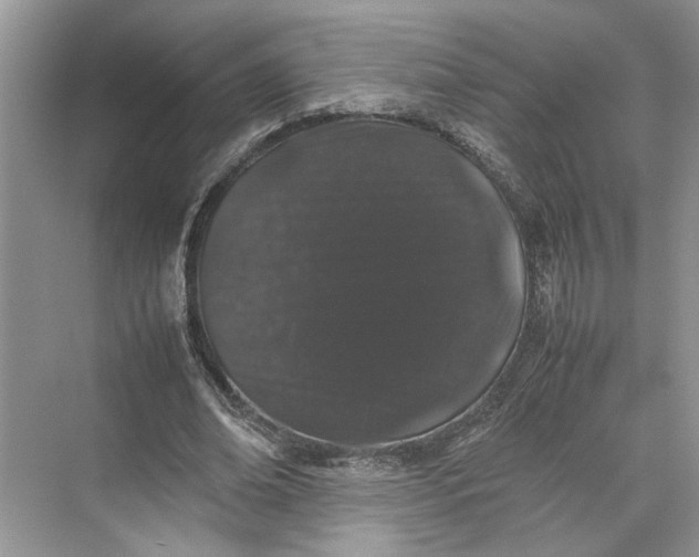 X0000070210678200606091625