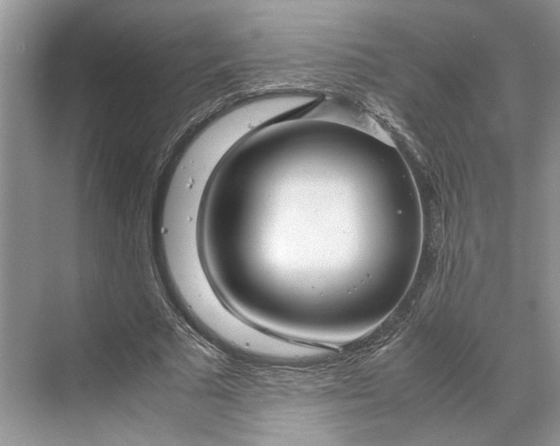 X0000070210681200606091625