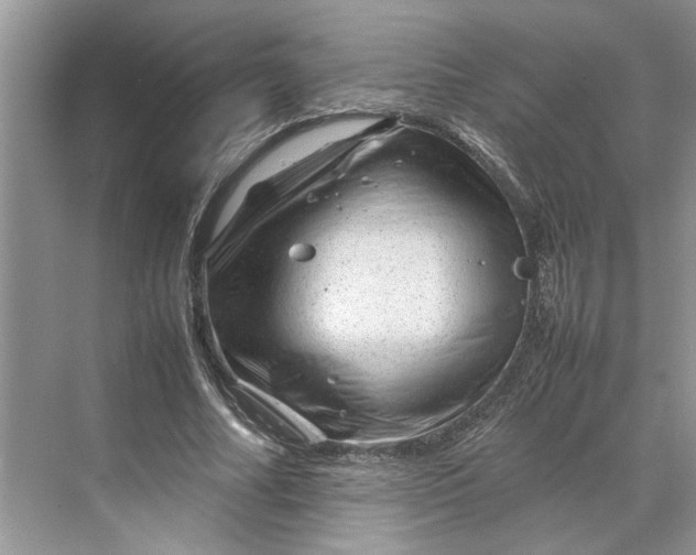 X0000070210682200606091625