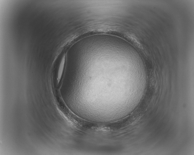 X0000070210683200606091625