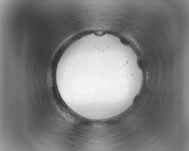 X0000070210684200606091625