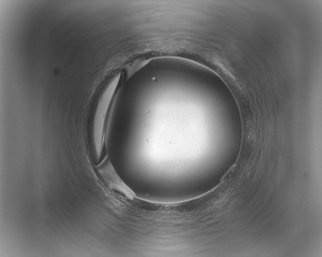 X0000070210685200606091625