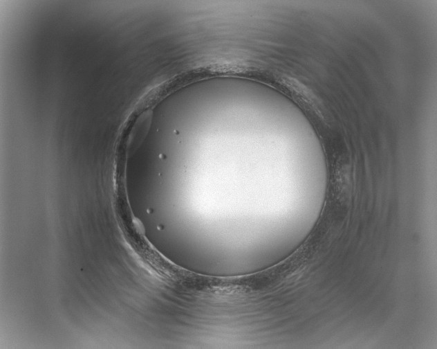 X0000070210686200606091625