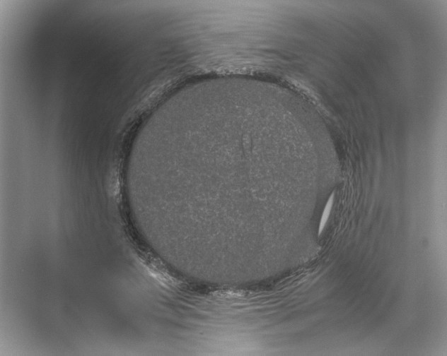 X0000070210687200606091625