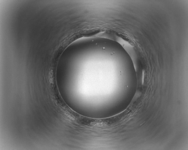 X0000070210689200606091625