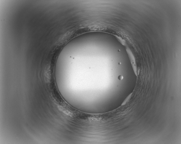 X0000070210690200606091625