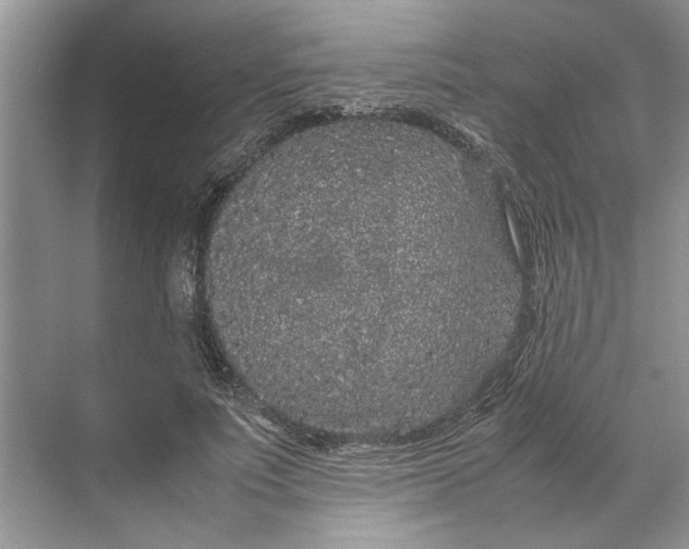 X0000070210691200606091625