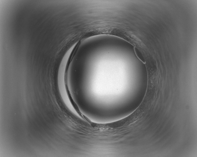 X0000070210693200606091625