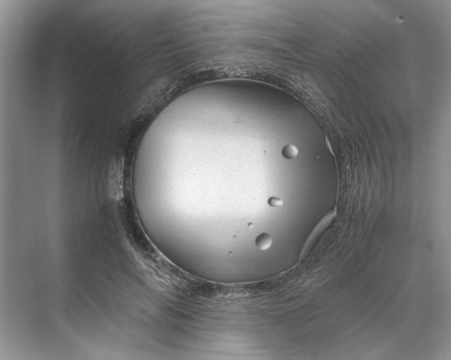 X0000070210694200606091625