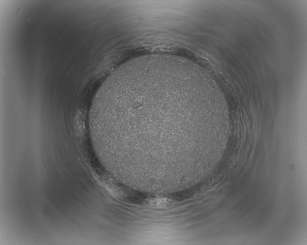 X0000070210695200606091625