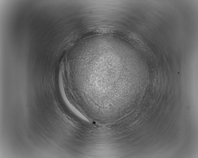 X0000070210696200606091625