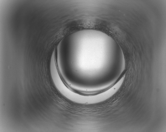 X0000070210697200606091625