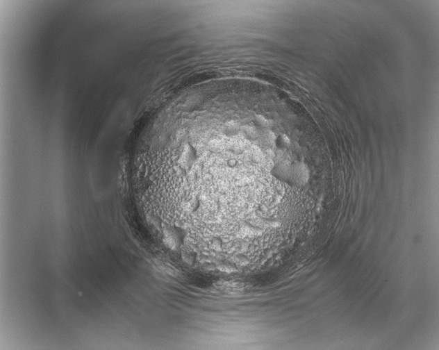 X0000070210699200606091625