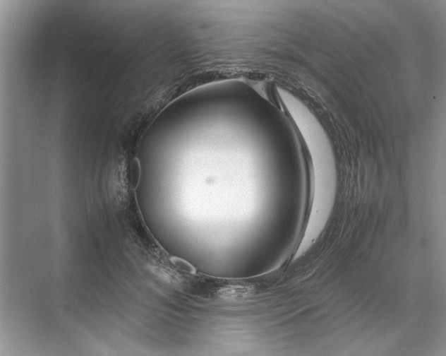 X0000070210700200606091625