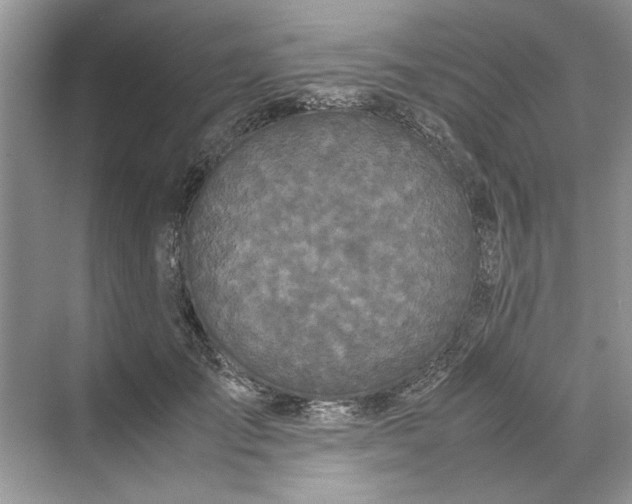 X0000070210701200606091624