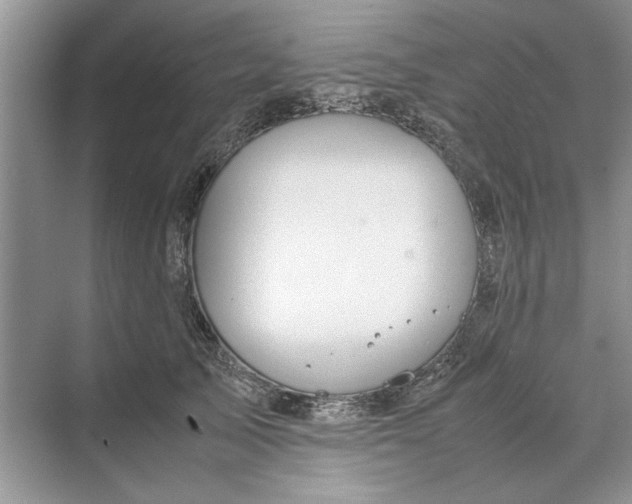 X0000070210705200606091624