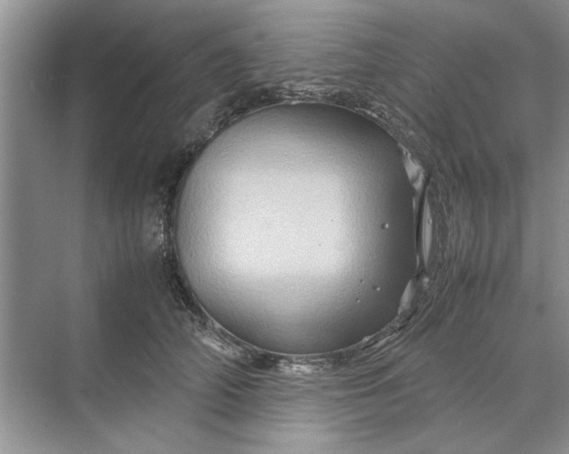 X0000070210706200606091624