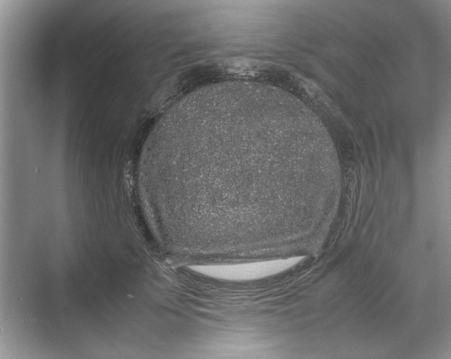 X0000070210707200606091624