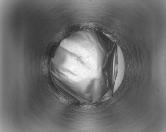 X0000070210708200606091624