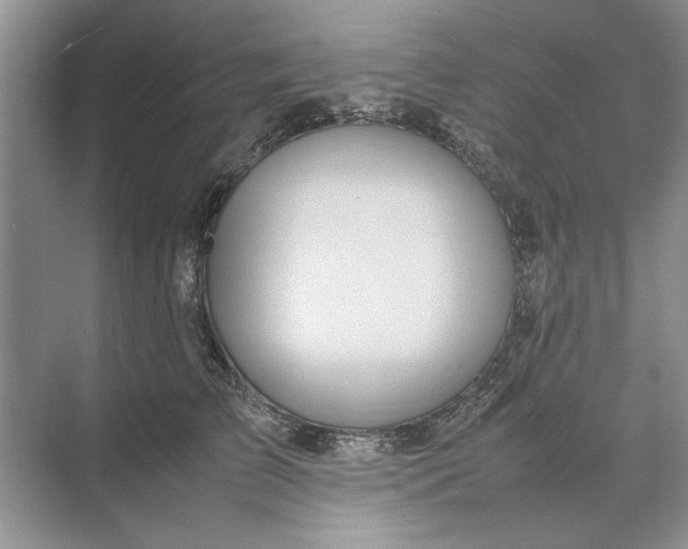 X0000070210709200606091624