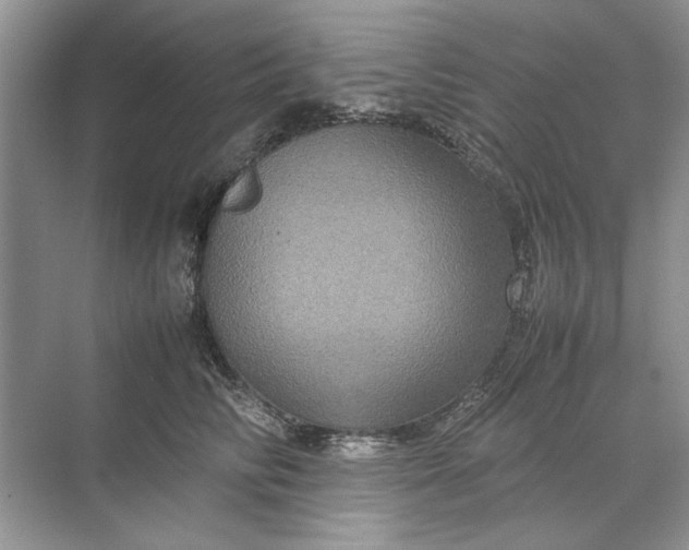 X0000070210710200606091624