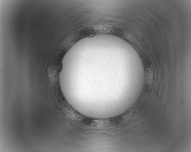 X0000070210713200606091624