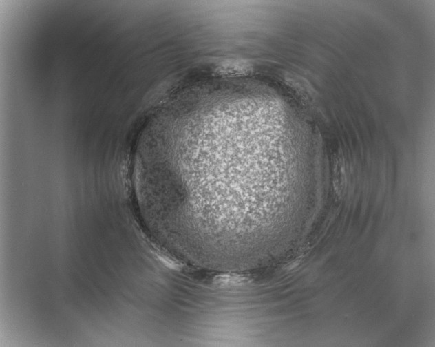 X0000070210714200606091624