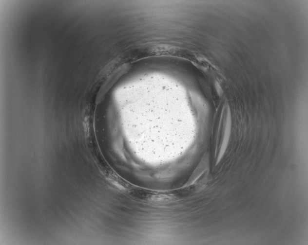 X0000070210716200606091624